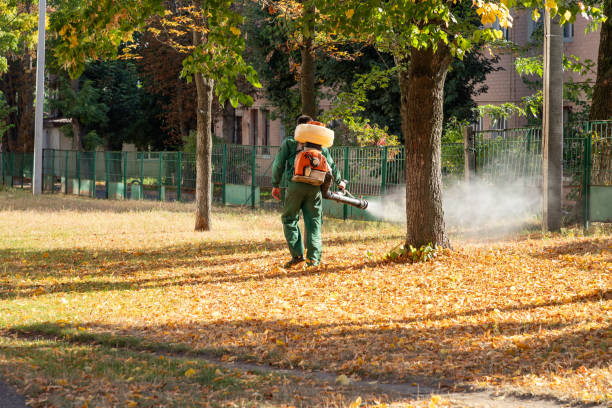 Reliable Berlin, MD Pest Control Solutions